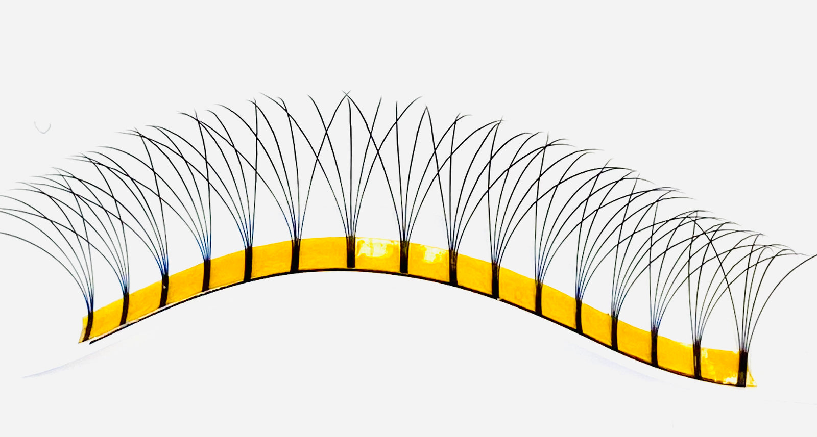 NEW M CURL - 5D PREMADE VOLUME LASH MIXED TRAY