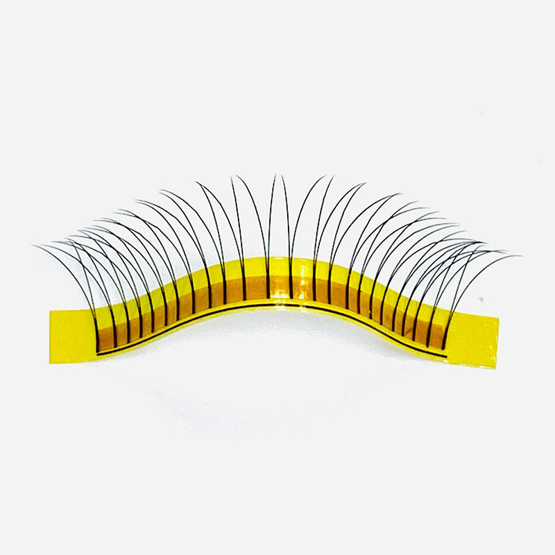 2D PREMADE VOLUME LASH SINGLE LENGTH TRAY